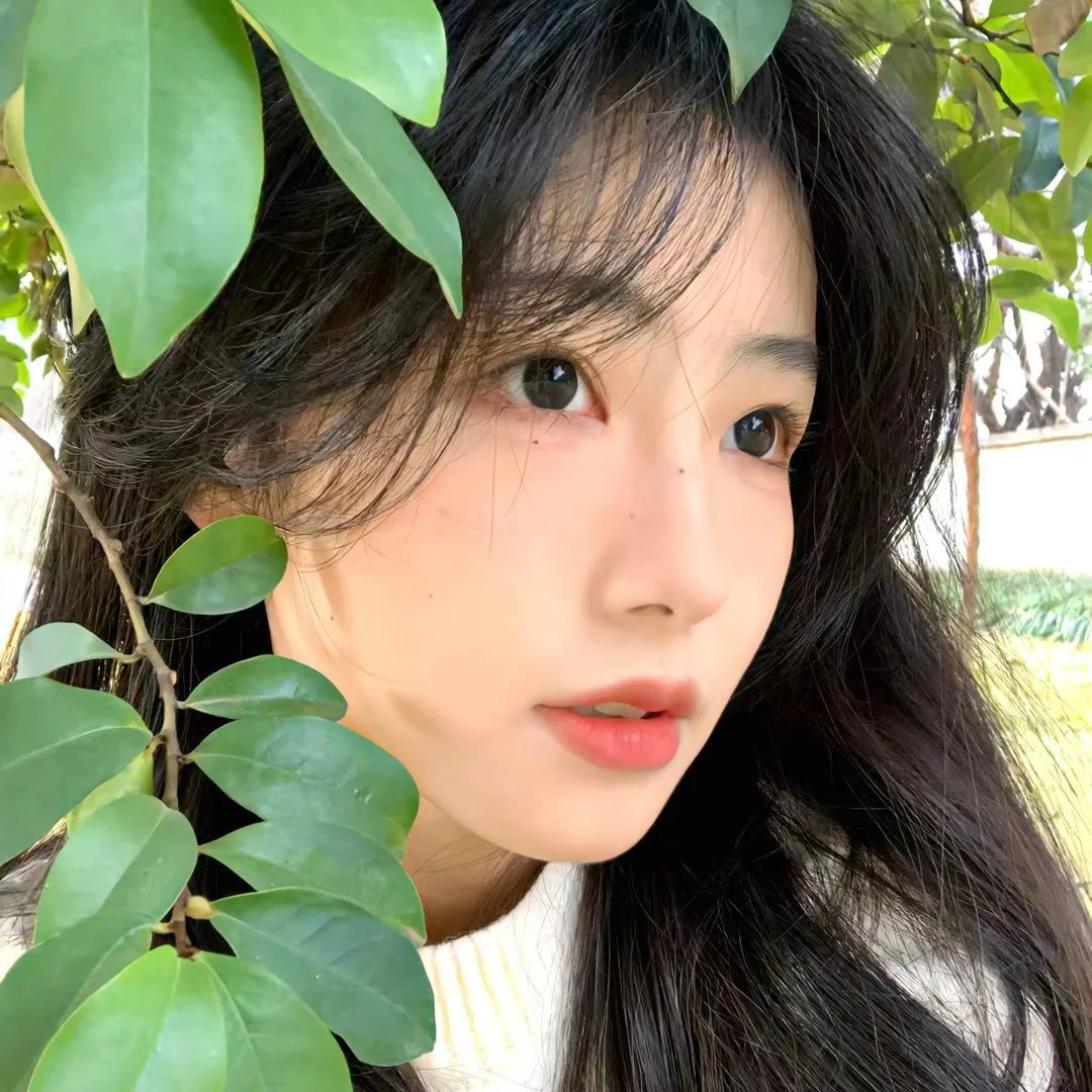 一笑随歌